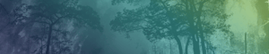 ACPA-Website-Header-Fire-2